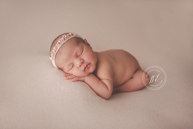 Soft pink newborn portraits in tampa florida