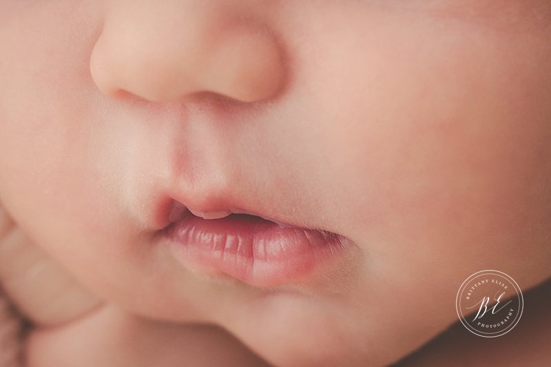 tampa-florida-newborn-baby-maternity-family-photographer-lifestyle-brittany-elise-photography_0575