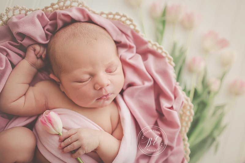 tampa-florida-newborn-baby-maternity-family-photographer-lifestyle-brittany-elise-photography_0585
