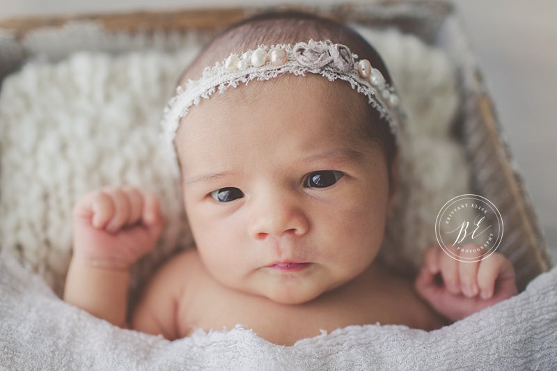 tampa-florida-newborn-baby-maternity-family-photographer-lifestyle-brittany-elise-photography_0682