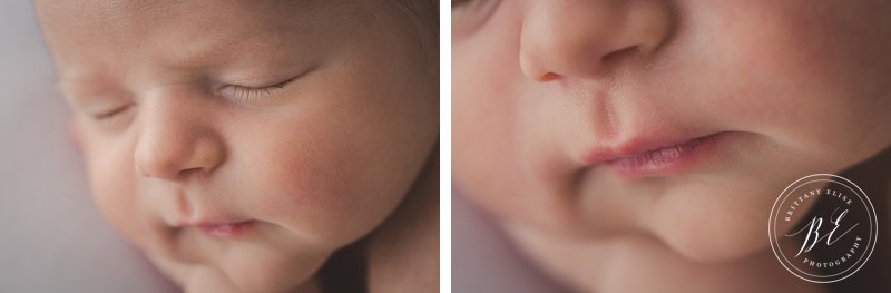 Tampa Natural Light Newborn Studio Photographer