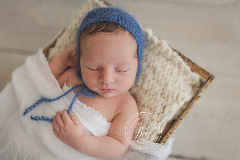 Tampa Newborn Studio Photographer