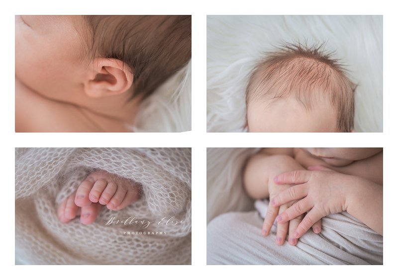 Tampa Natural Light Newborn Photographer
