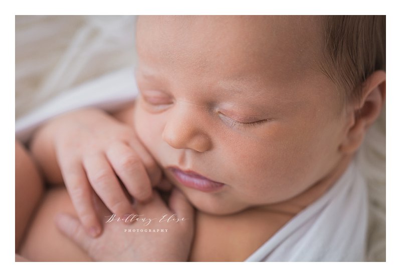 Tampa Natural Light Newborn Photographer