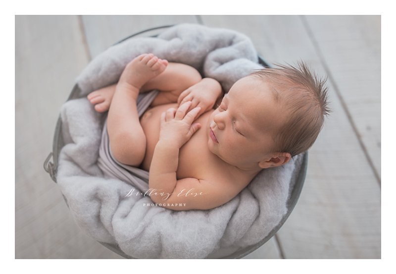 Tampa Natural Light Newborn Photographer