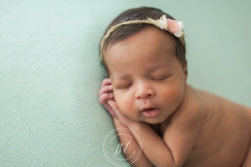 Newborn Photographer in Tampa, FL