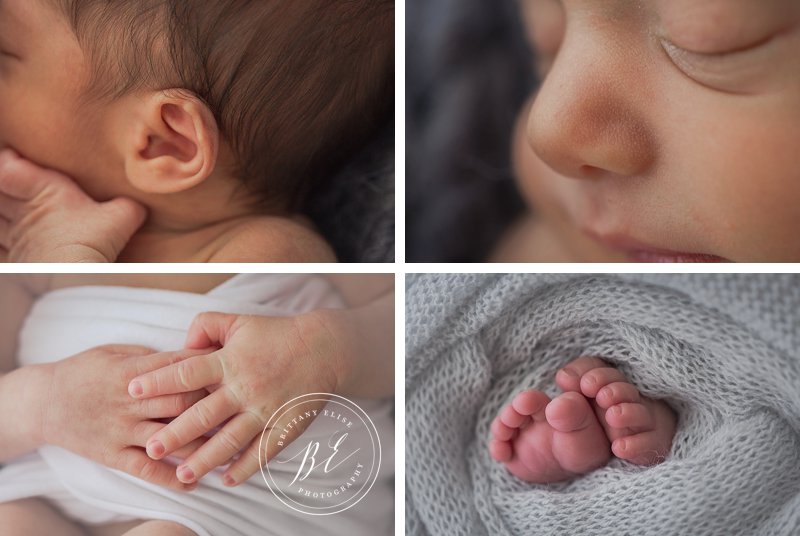 Tampa Studio Newborn Photographer