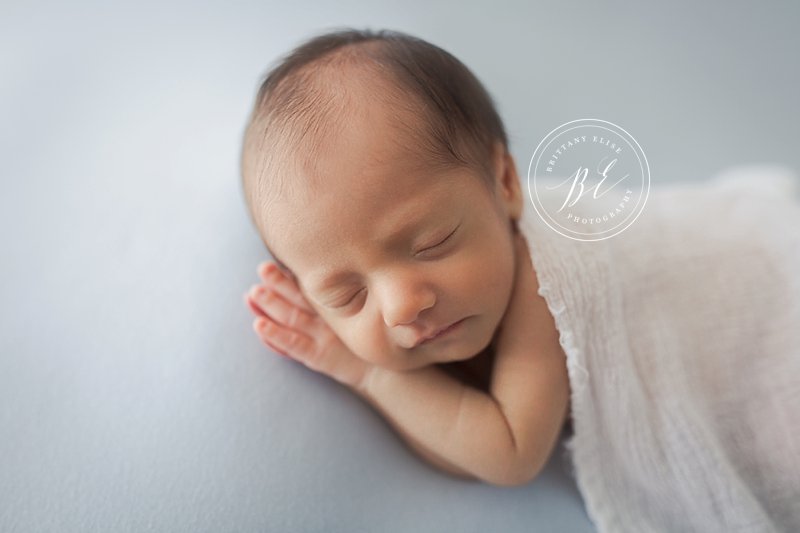 Tampa Studio Newborn Photographer