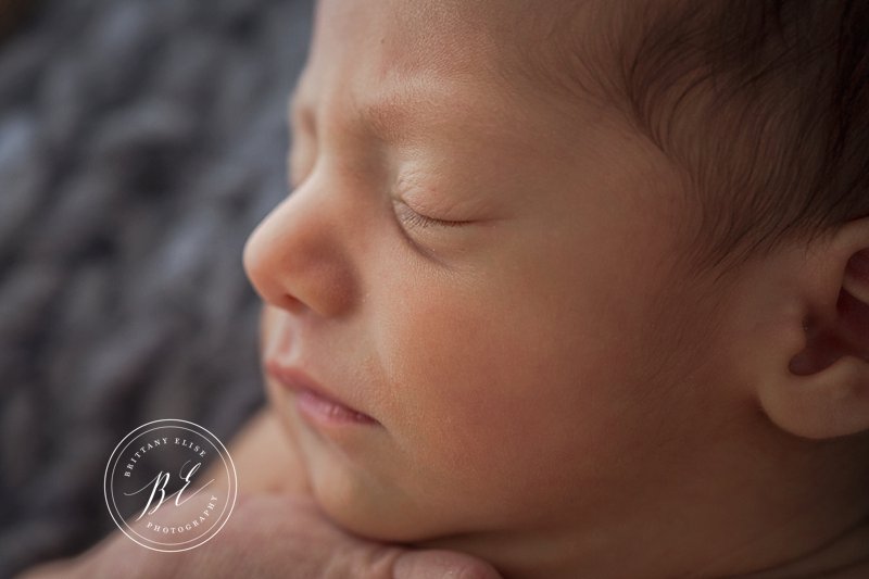 Tampa Studio Newborn Photographer