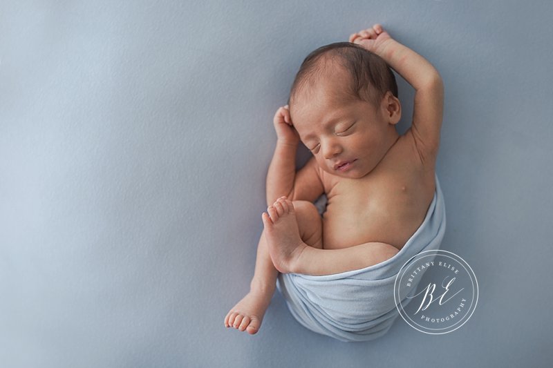 Tampa Studio Newborn Photographer