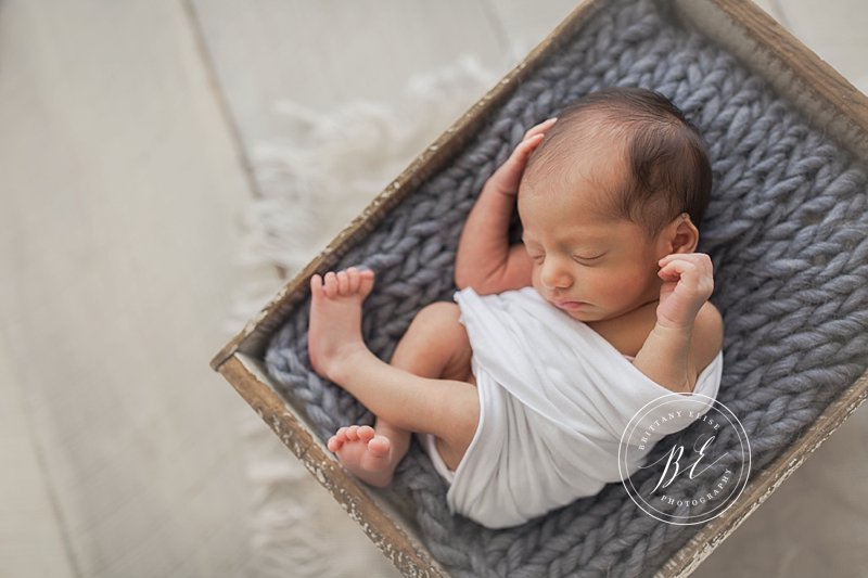 Tampa Studio Newborn Photographer
