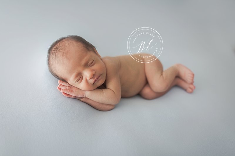 Tampa Studio Newborn Photographer