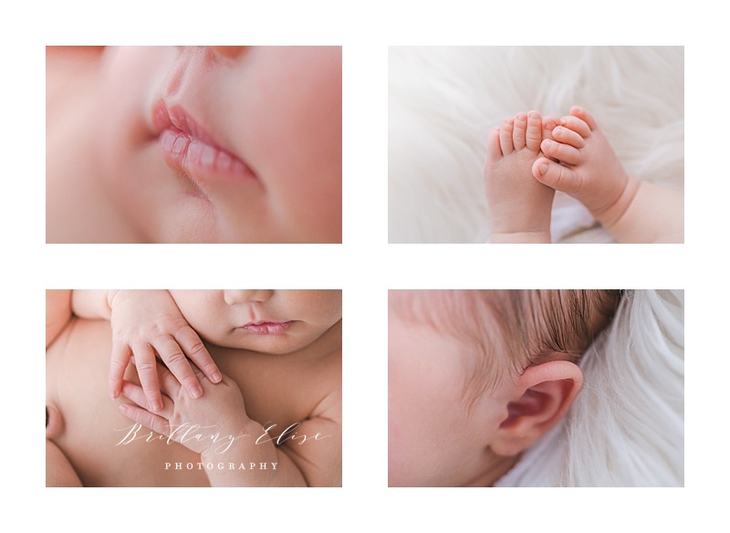 Tampa Natural Light Newborn Studio Photographer