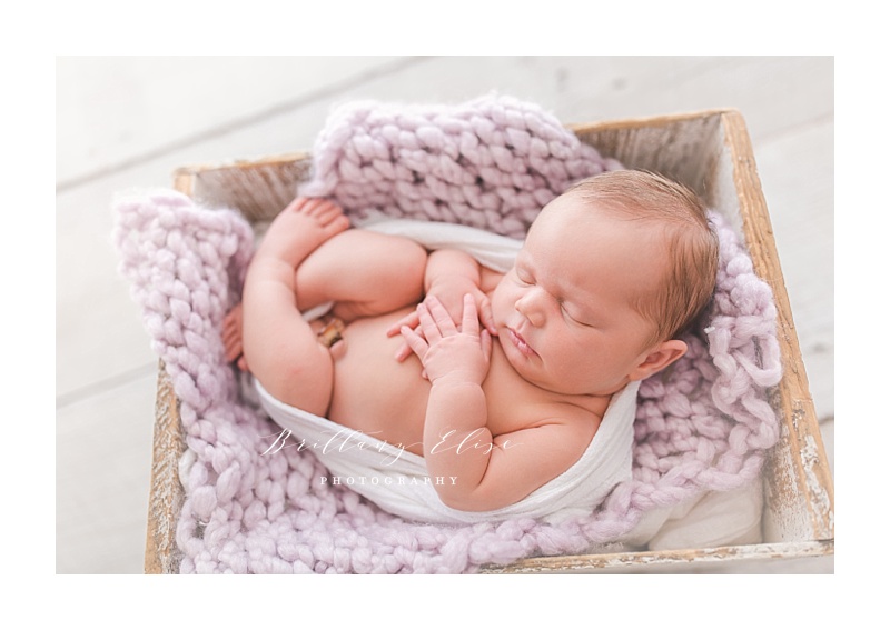 Tampa Natural Light Newborn Studio Photographer