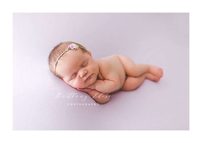 Tampa Natural Light Newborn Studio Photographer