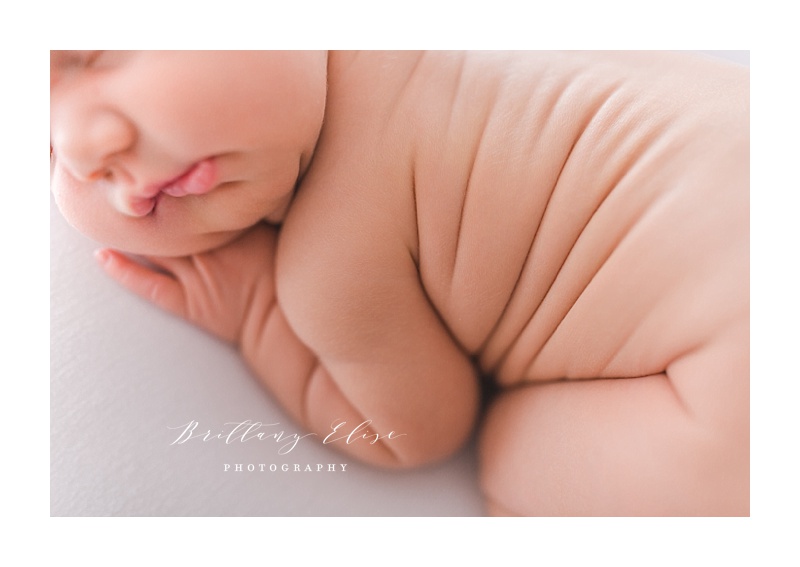 Tampa Natural Light Newborn Studio Photographer