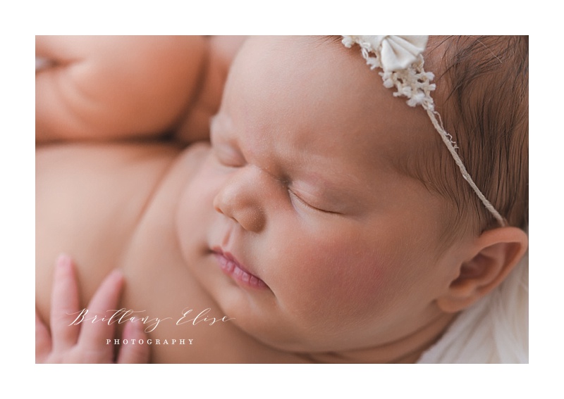 Tampa Natural Light Newborn Studio Photographer