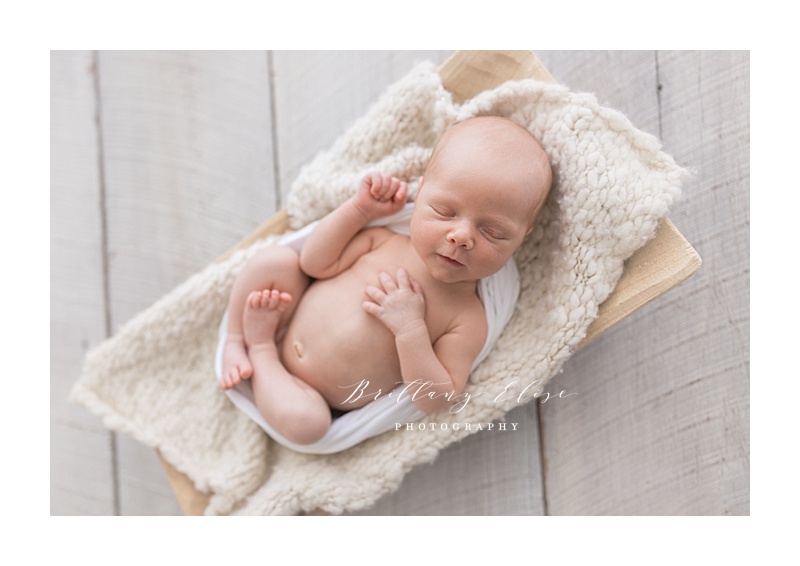 Newborn Photography in South Tampa, FL