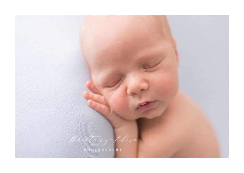 Newborn Photography in South Tampa, FL