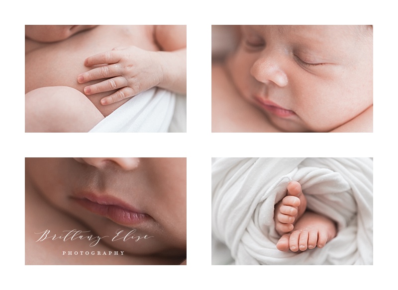 Tampa Newborn Natural Light Studio Photographer