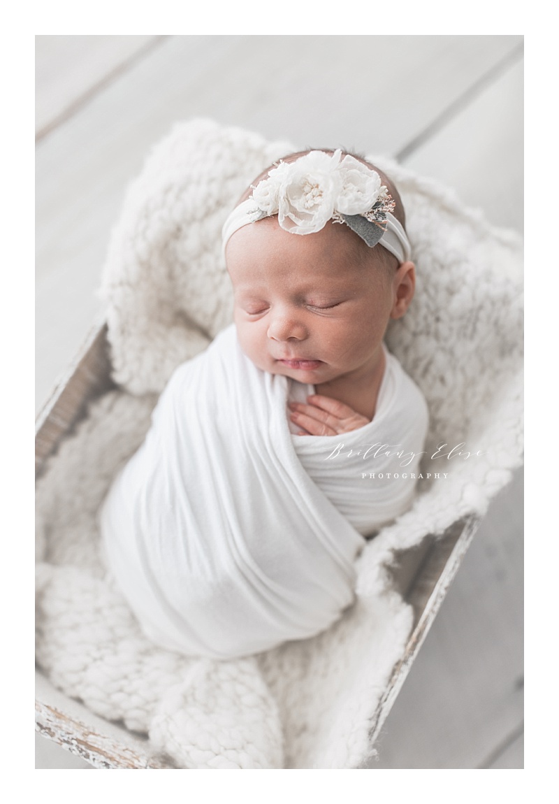 Tampa Newborn Natural Light Studio Photographer