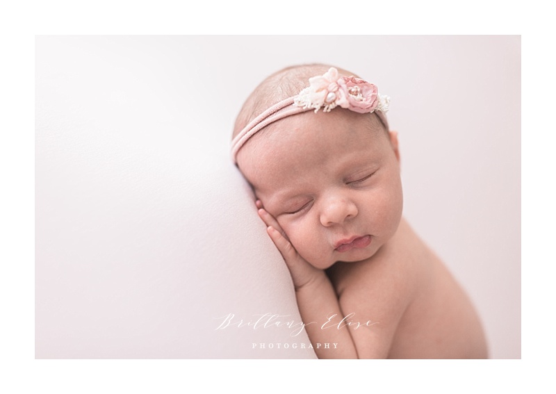 Tampa Newborn Natural Light Studio Photographer