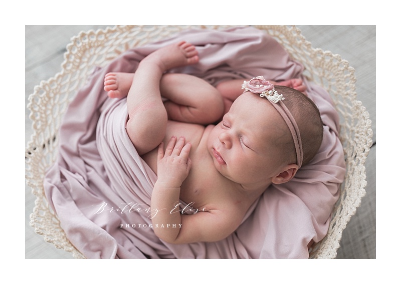 Tampa Newborn Natural Light Studio Photographer