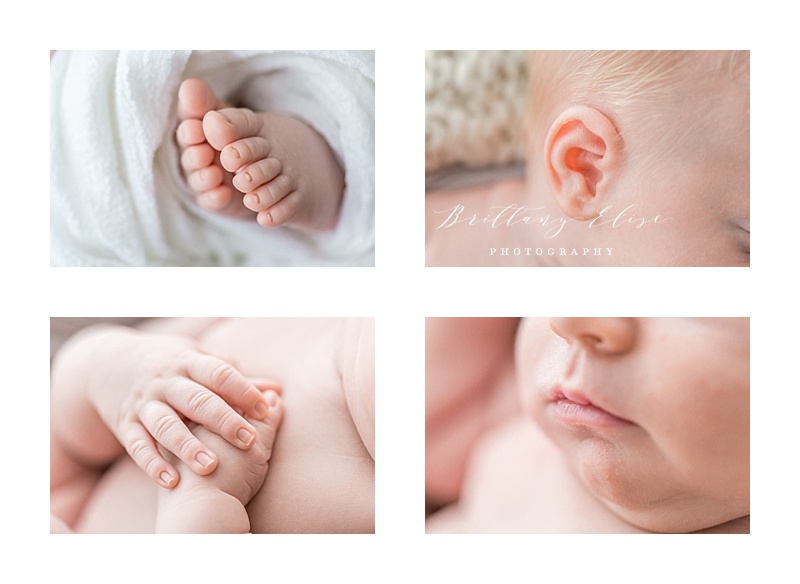 Mint Green Tampa Newborn Photography Session