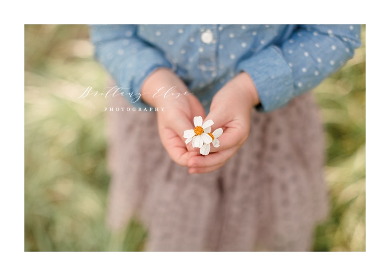 Tampa Natural Light Family Photographer