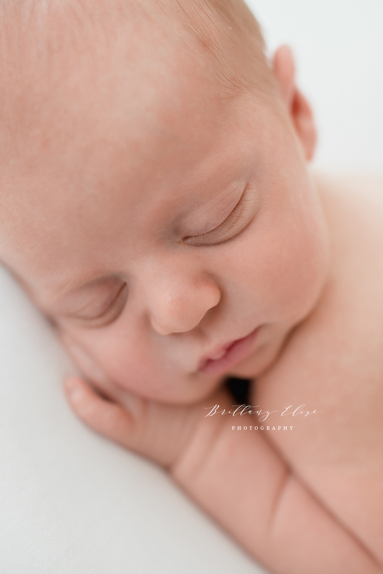 Tampa Newborn Studio Photography