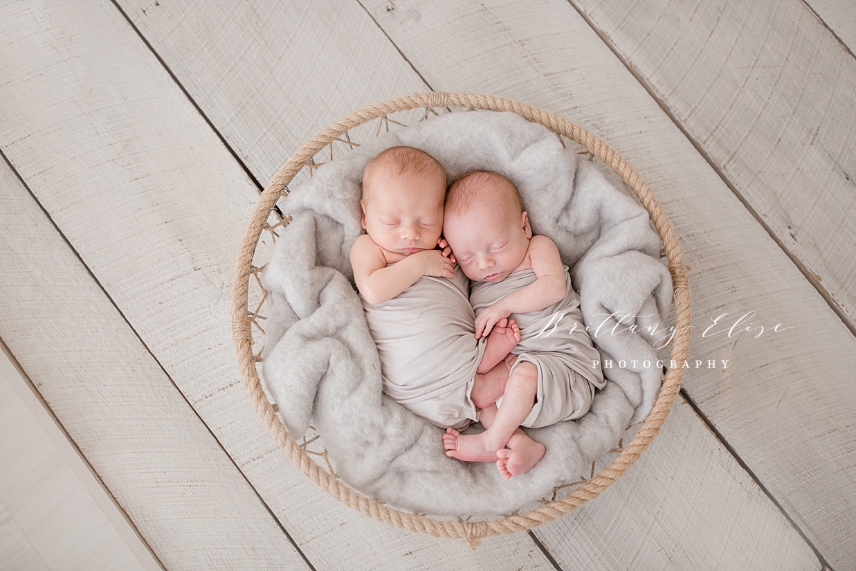 Tampa Twin Newborn Studio Photographer