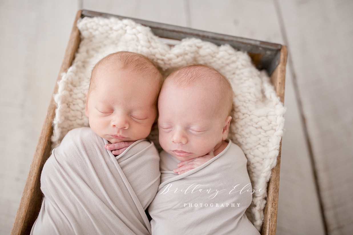 Tampa Twin Newborn Studio Photographer