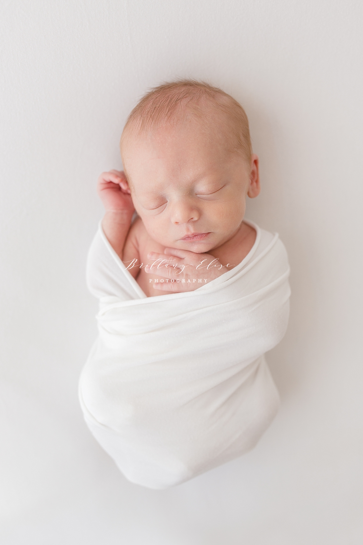 Tampa Twin Newborn Studio Photographer