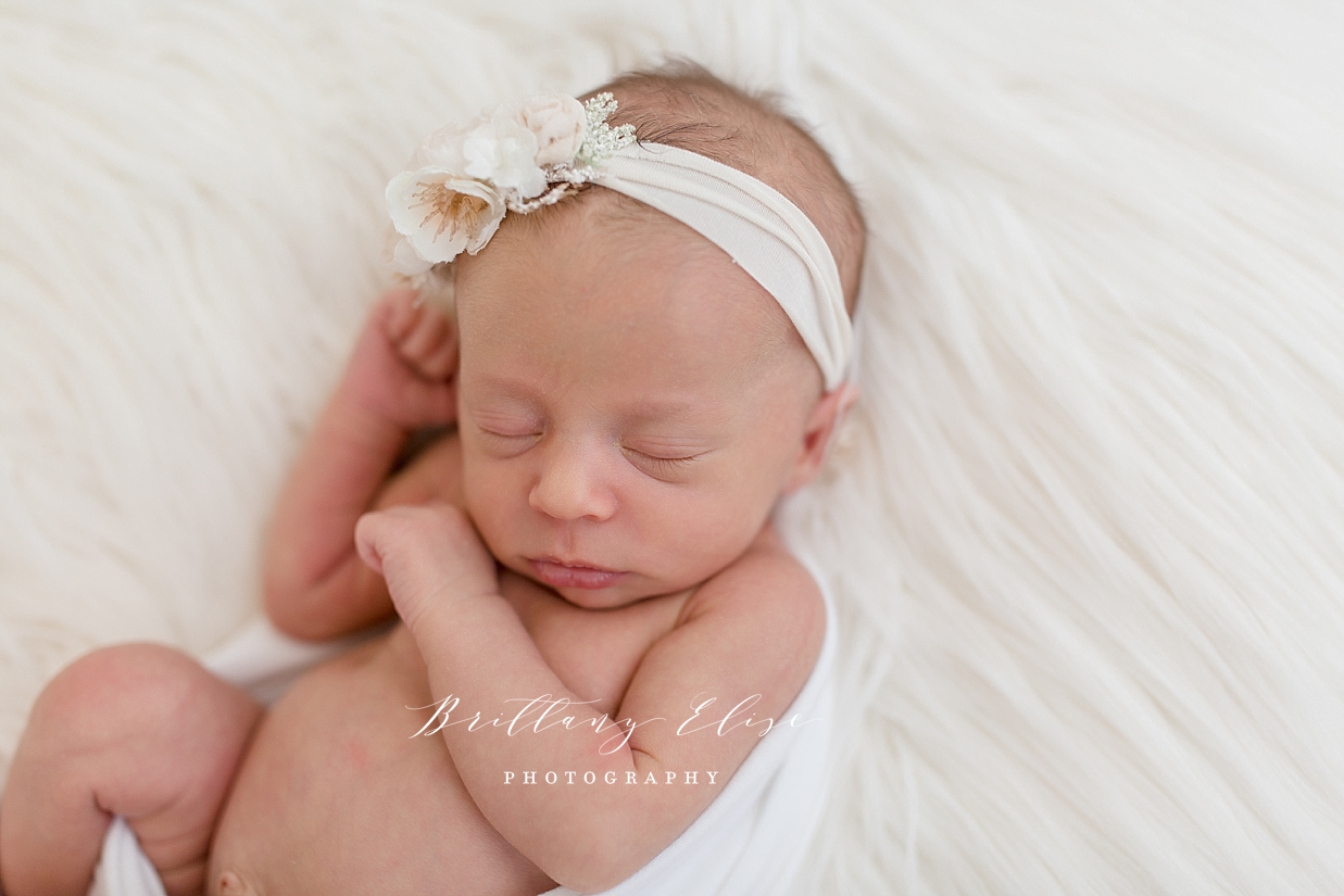 Tampa Twin Newborn Photographer