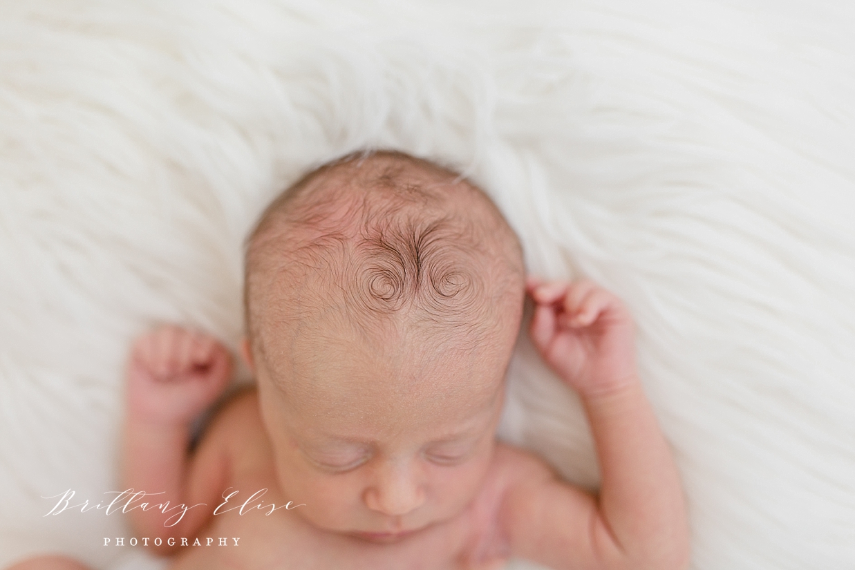 Tampa Twin Newborn Photographer