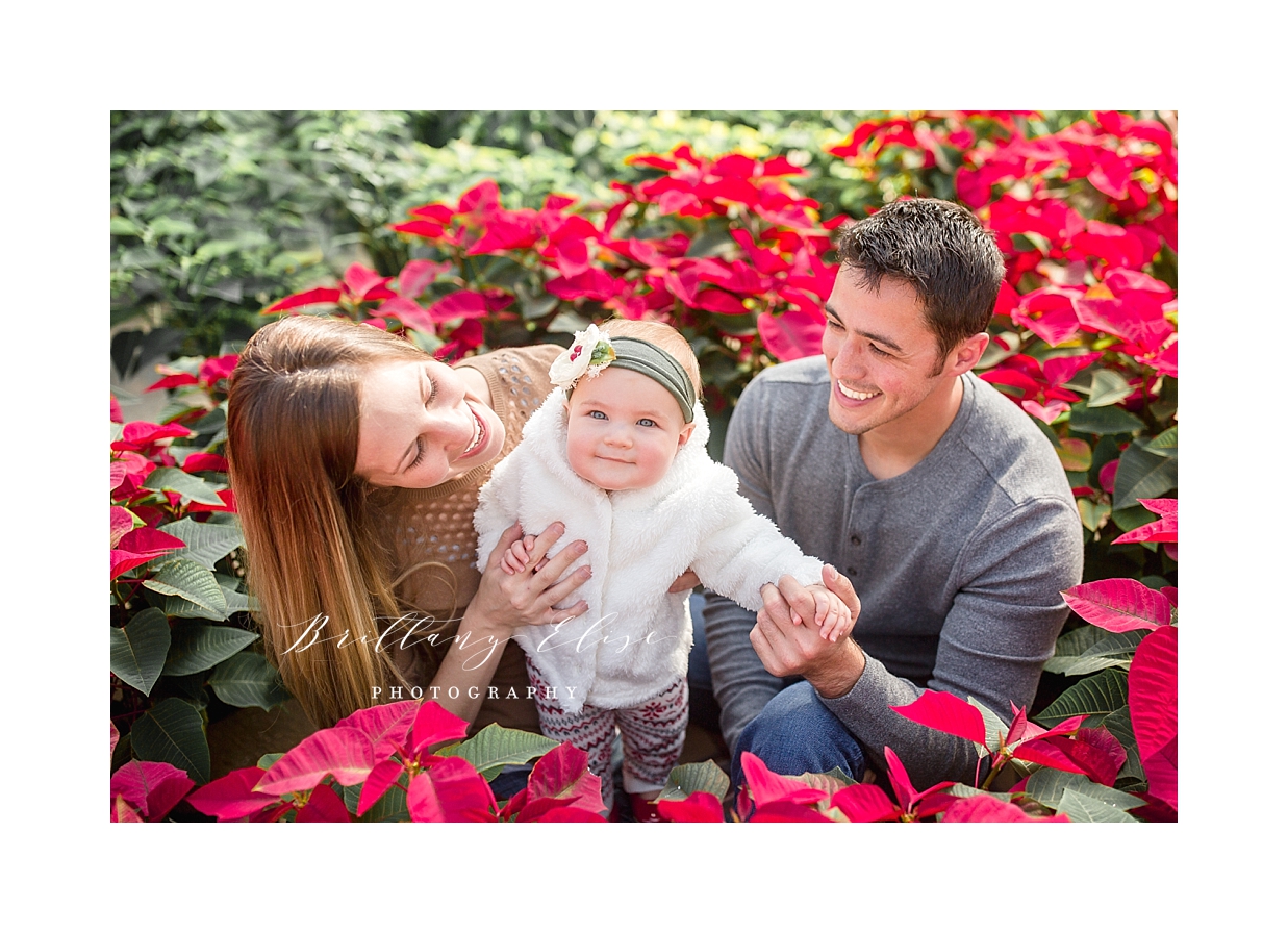 Tampa Holiday Photographer