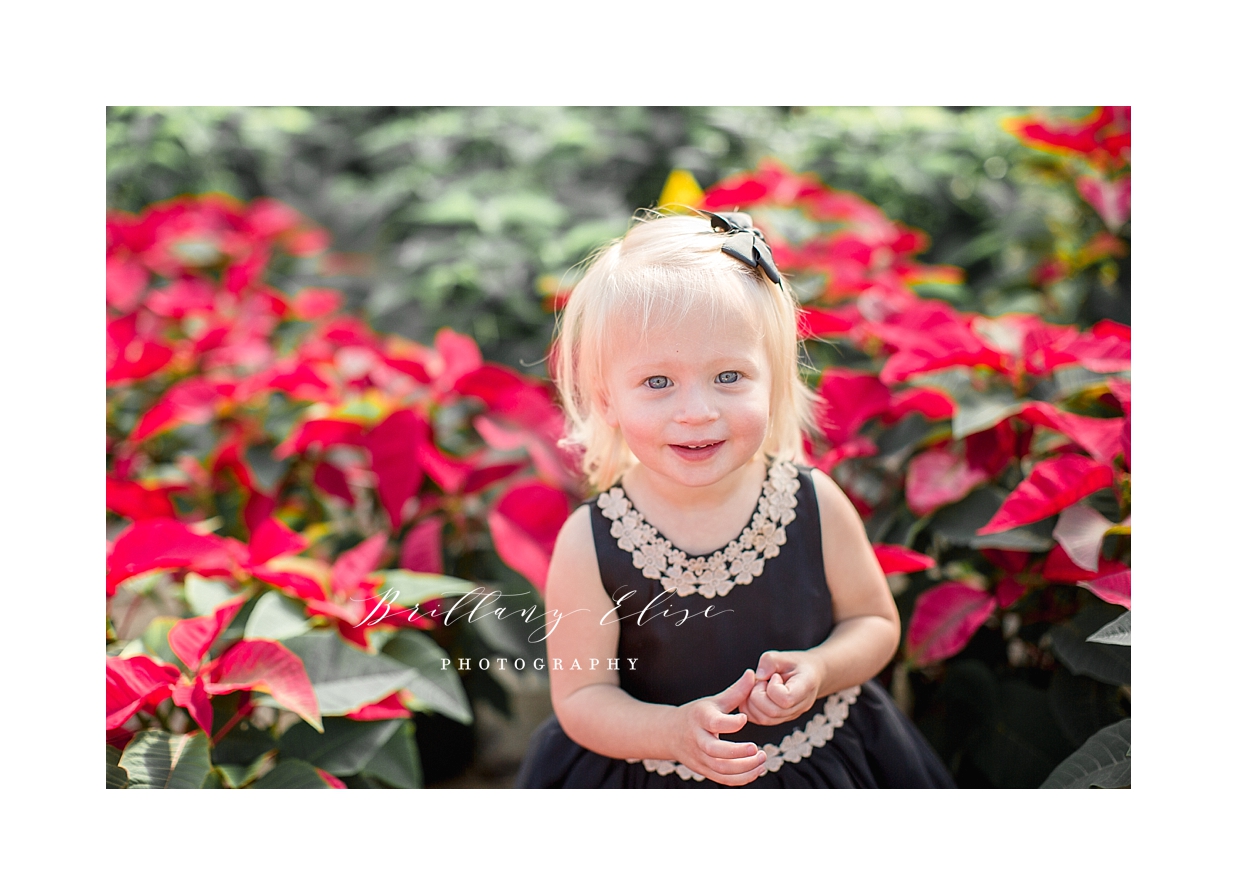 Tampa Holiday Photographer