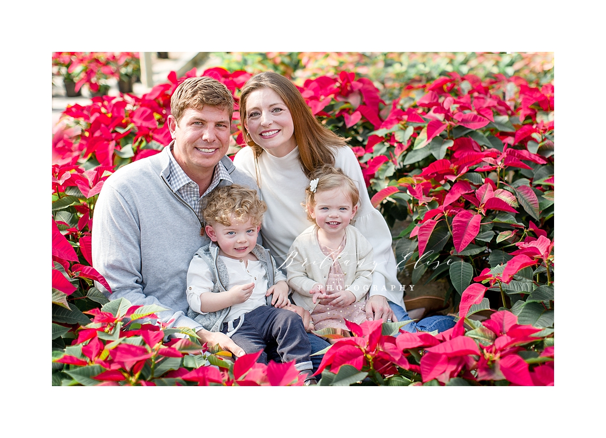 Tampa Holiday Photographer