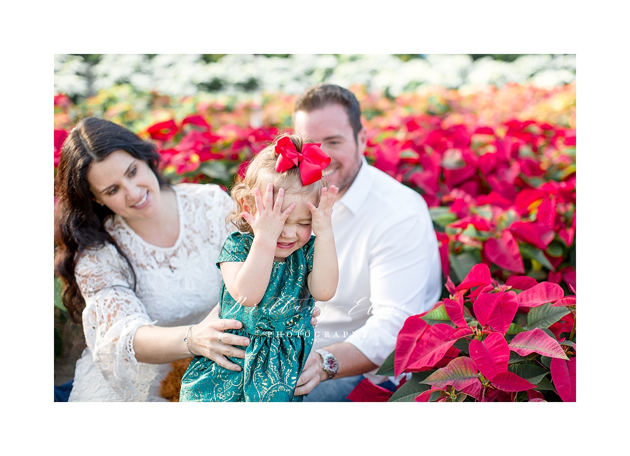 Tampa Holiday Photographer