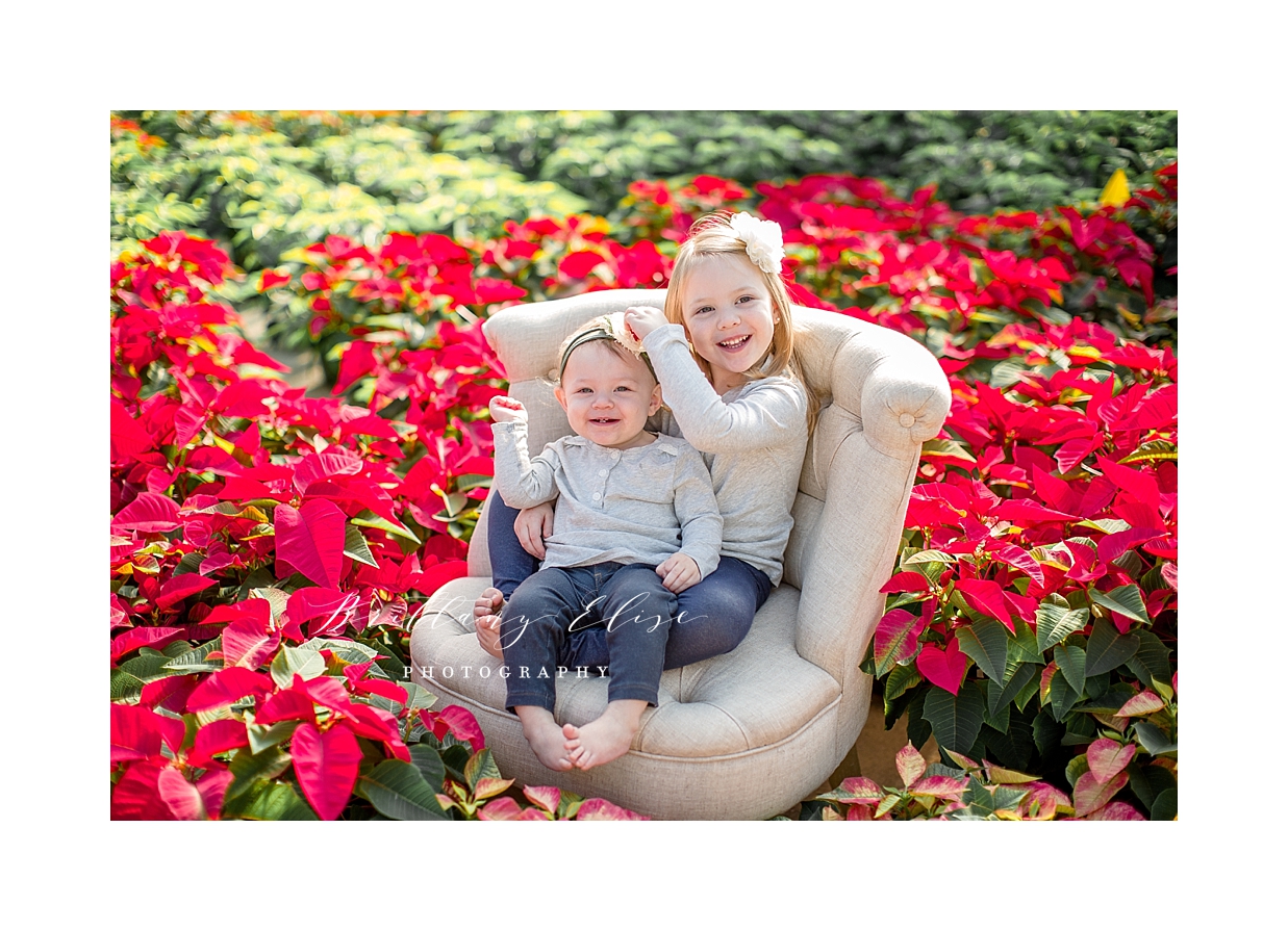 Tampa Holiday Photographer