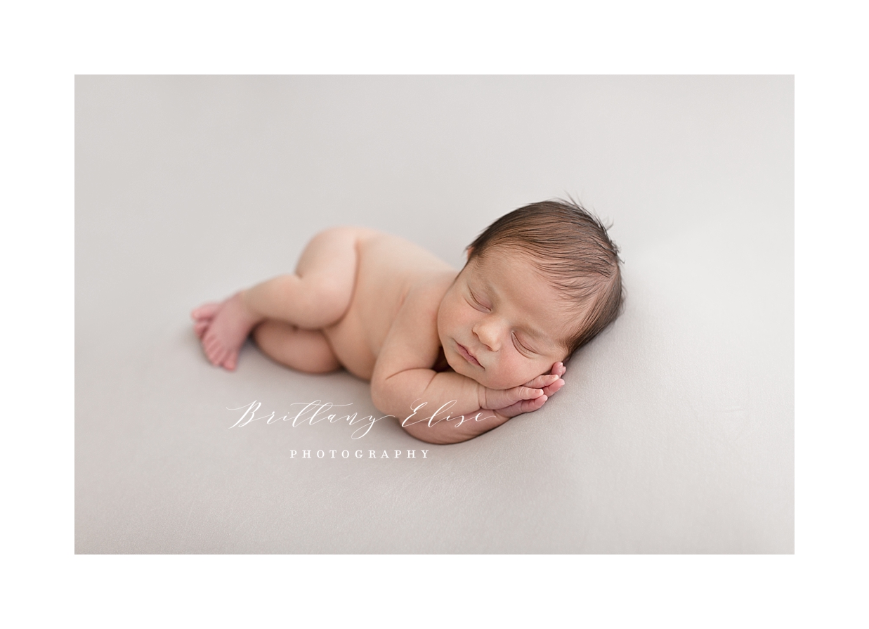 Tampa Natural Light Studio Newborn Photographer