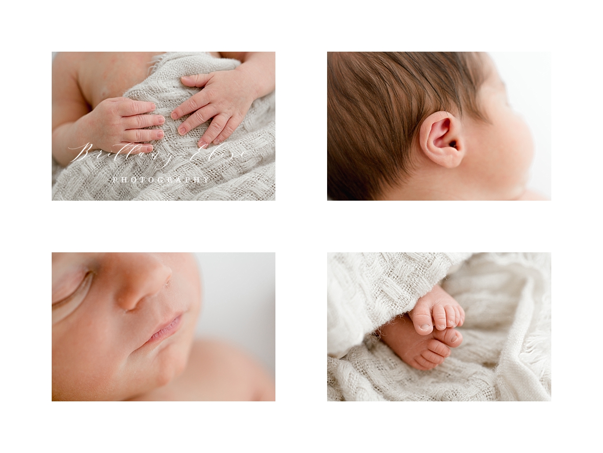 Tampa Natural Light Studio Newborn Photographer