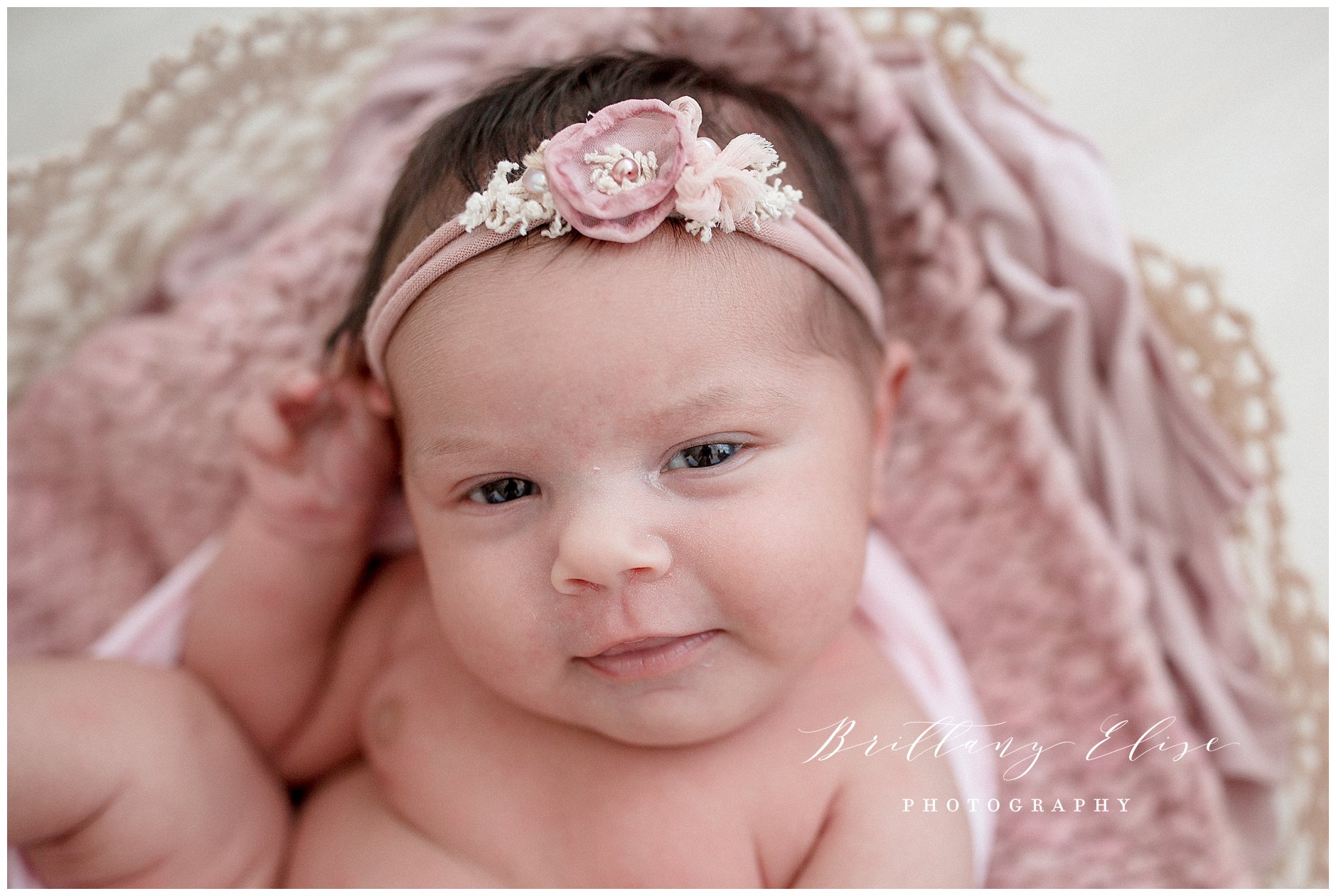 Tampa Newborn Natural Light Photographer