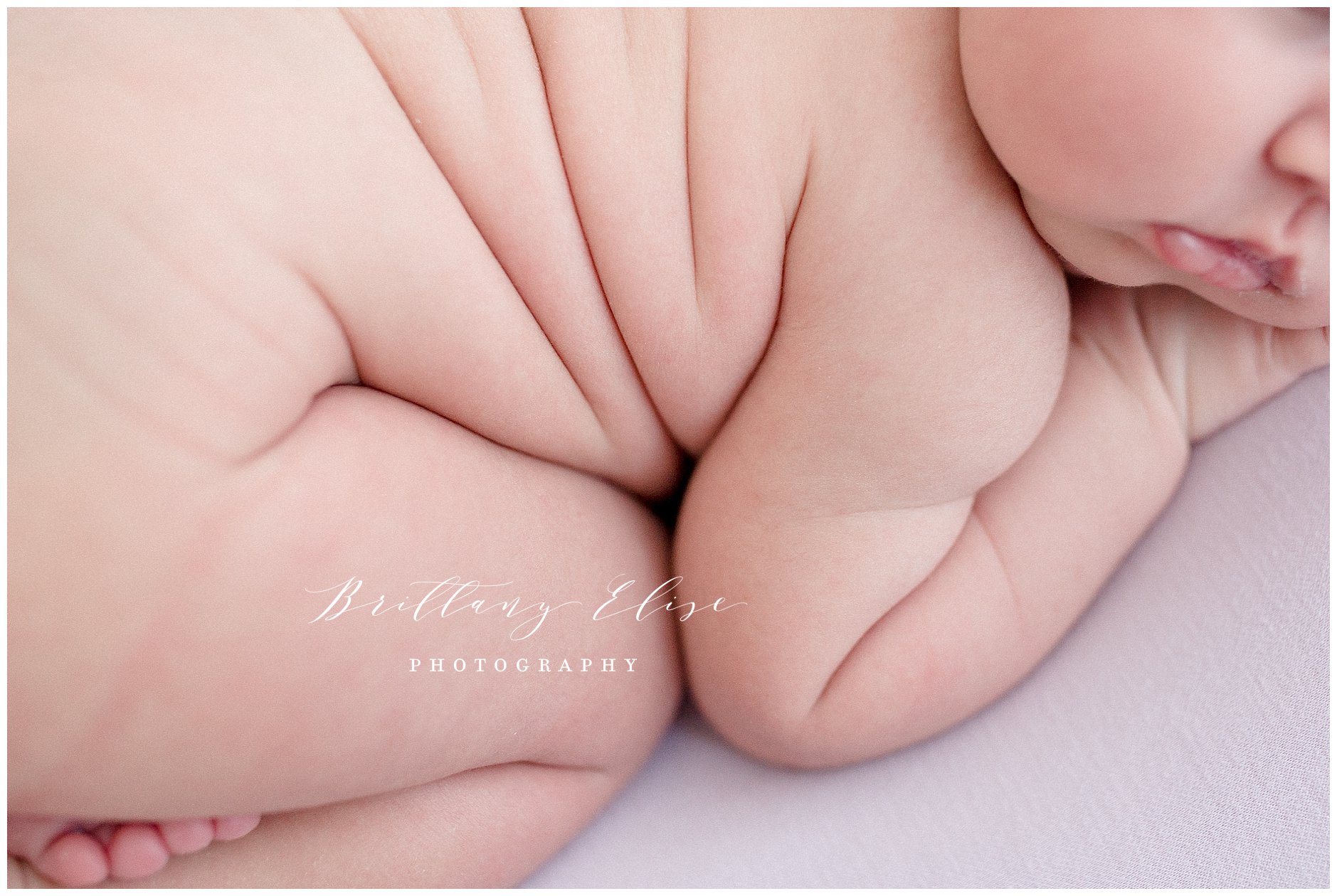Tampa Newborn Natural Light Photographer