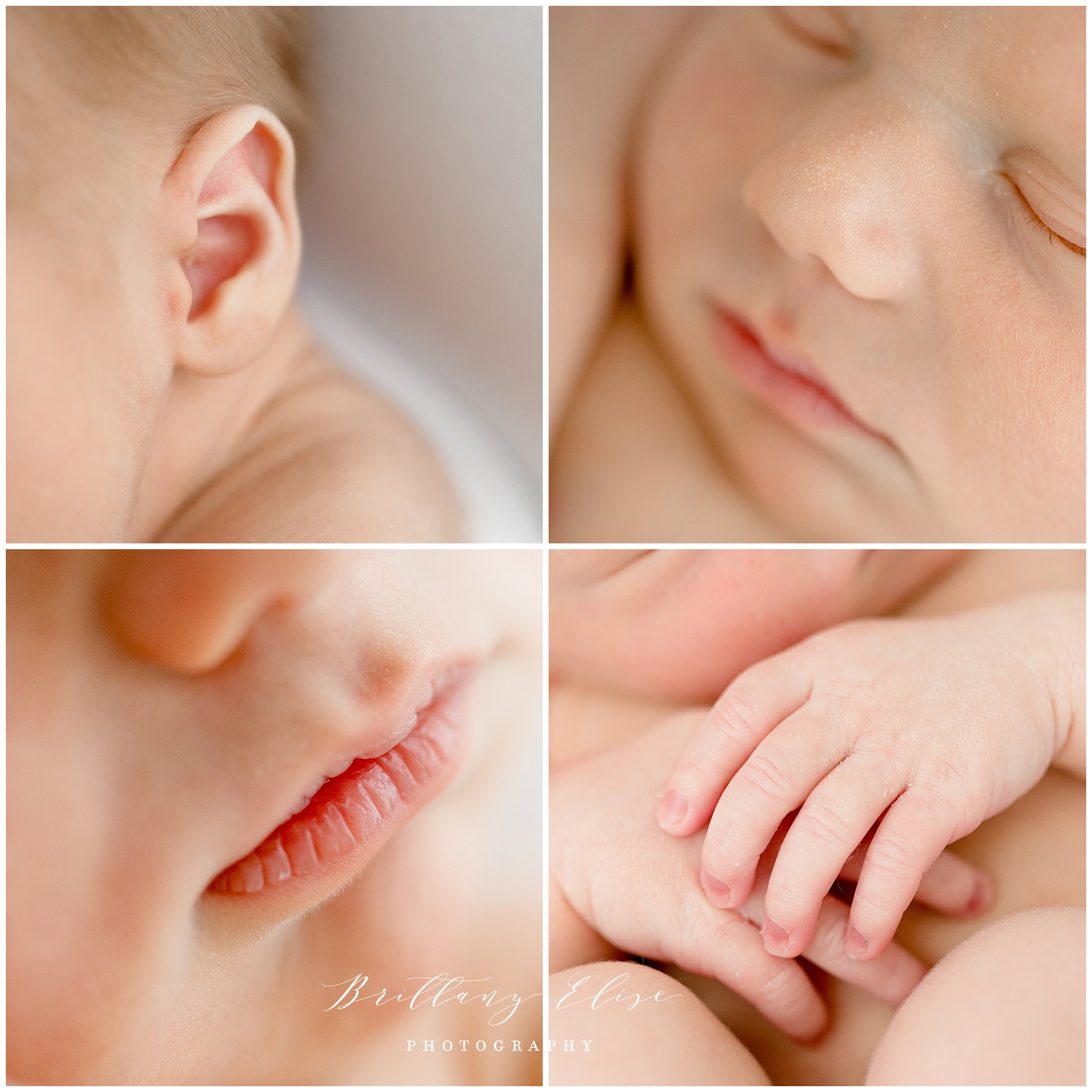 Tampa Newborn Natural Light Photographer