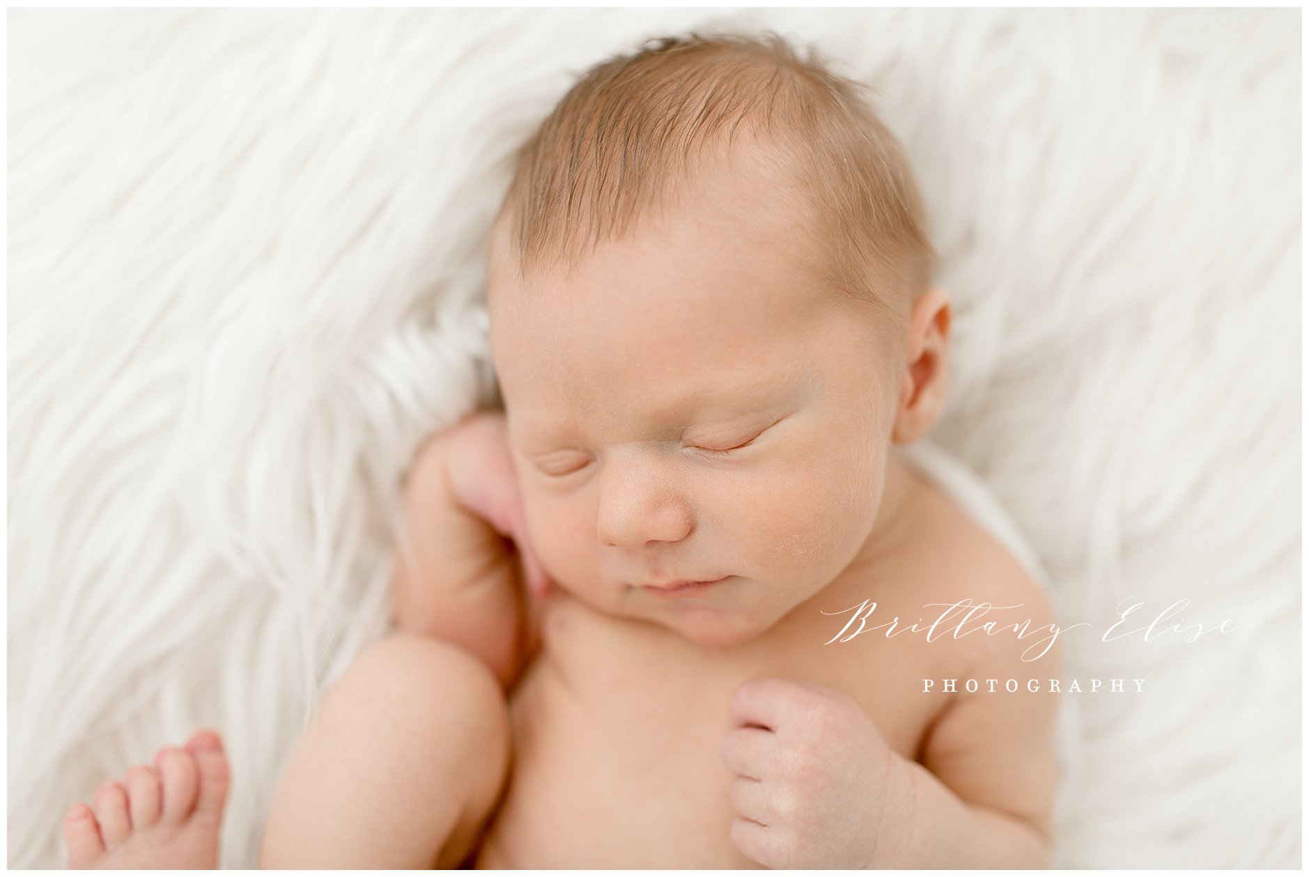 Tampa Newborn Natural Light Photographer