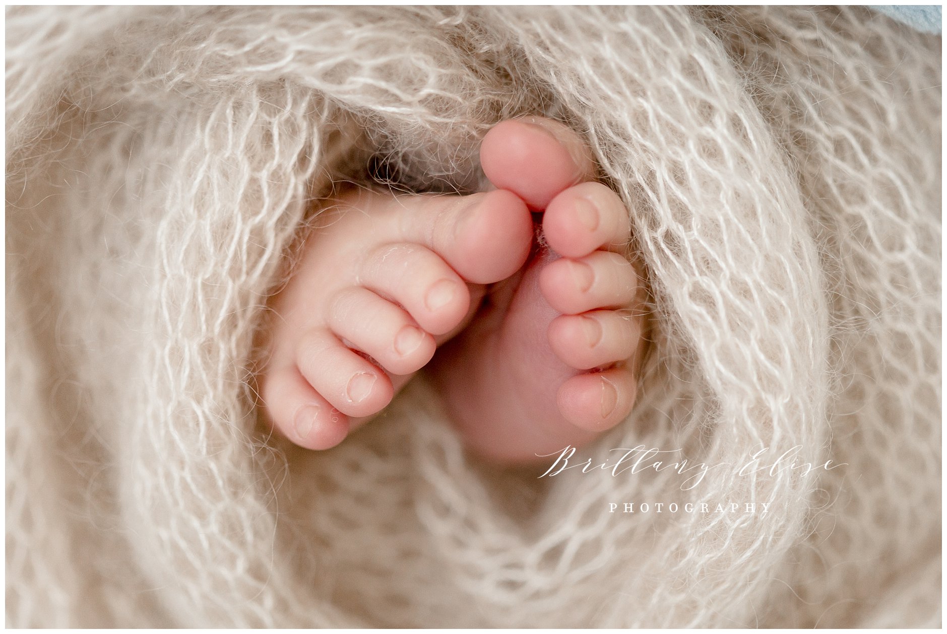 Tampa Newborn Natural Light Photographer