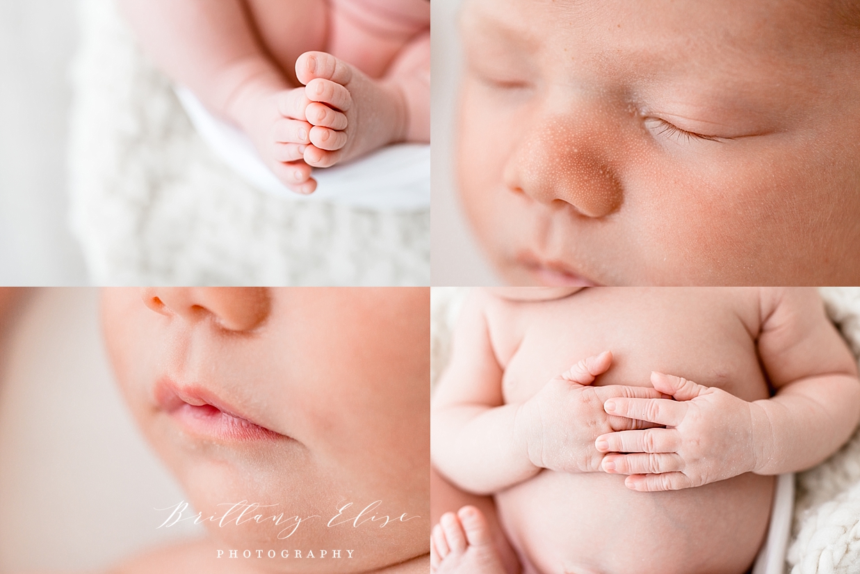 Tampa Newborn Natural Light Studio Photographer