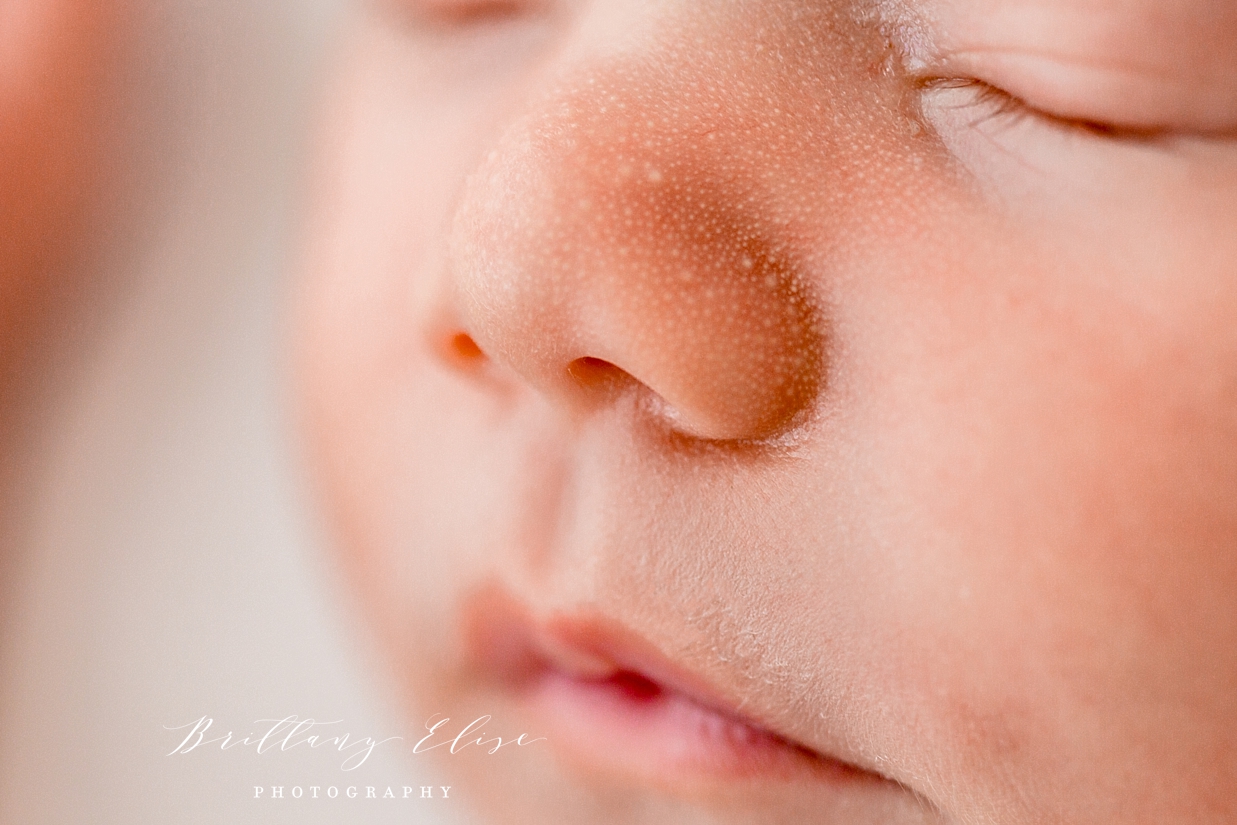 Tampa Newborn Natural Light Studio Photographer