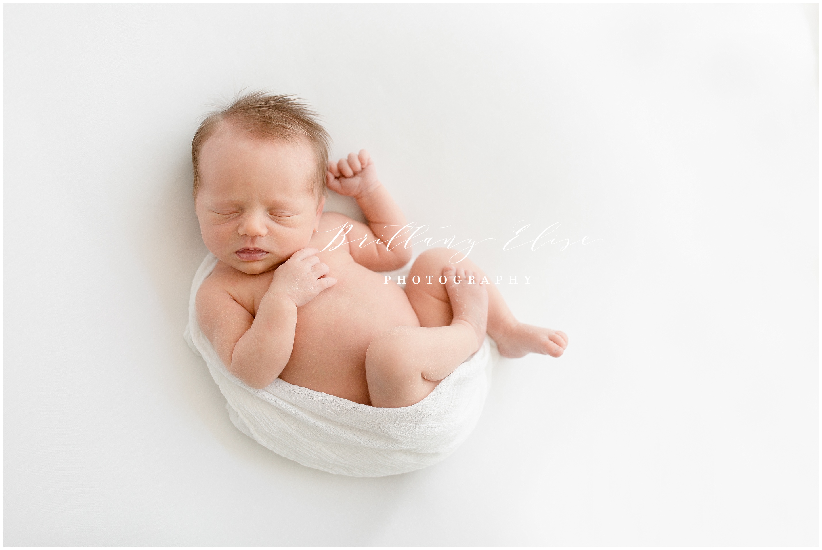 Tampa Newborn Studio Photographer